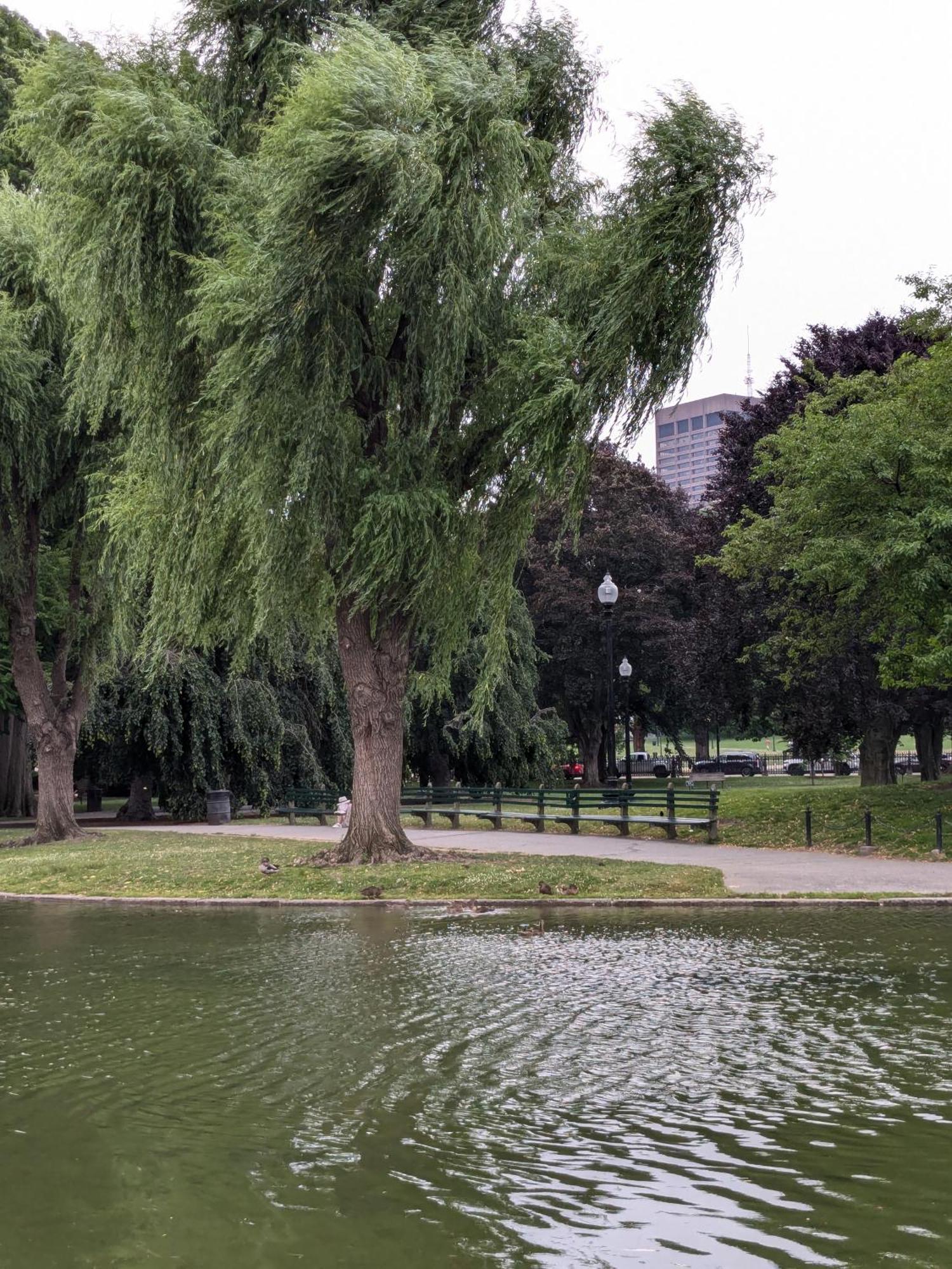Boston Homestel 외부 사진